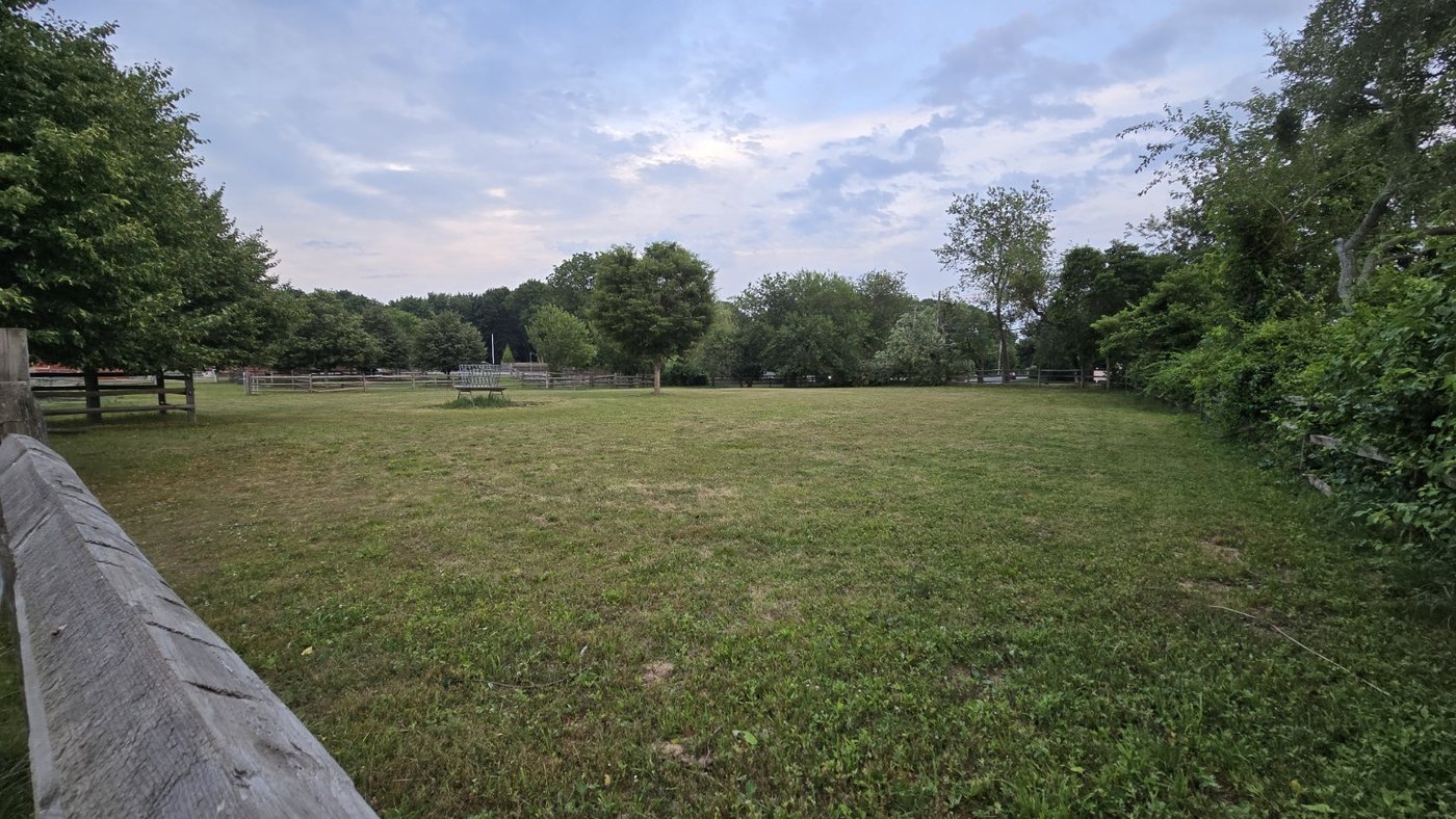 Horse paddocks at Love You More Equestrian Center